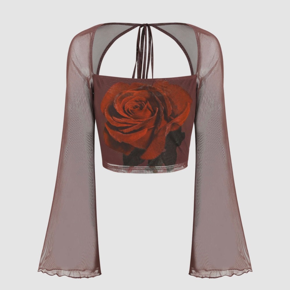NEW CIDER LONG SLEEVE ROSE TOP SIZE S